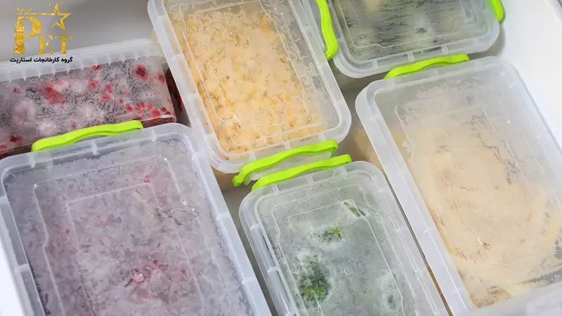 بهترین دما برای فریز موادغذایی | استارپت