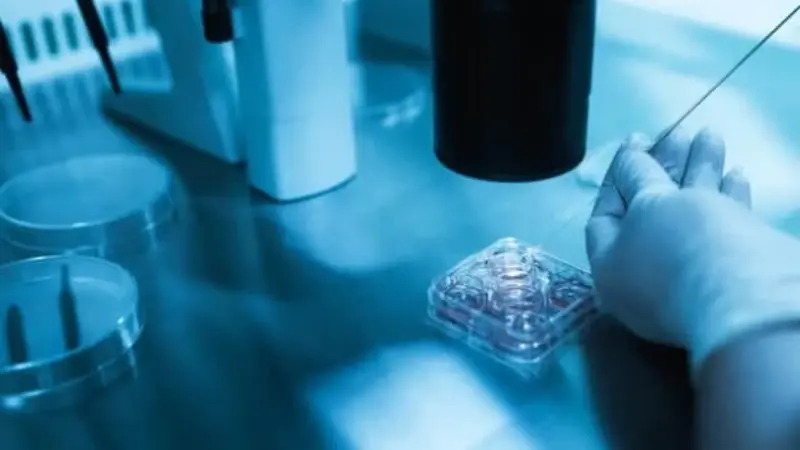 آشنایی با انواع مواد تشکیل دهنده بطری های پلاستیکی