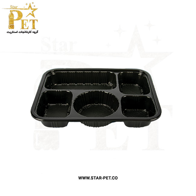 ظرف یکبار مصرف پنج خانه ژیان